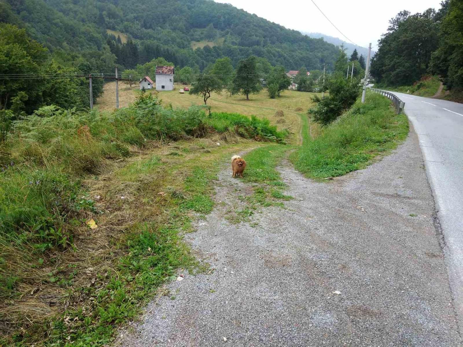 Apartmani Jana Bijelo Polje Exterior foto