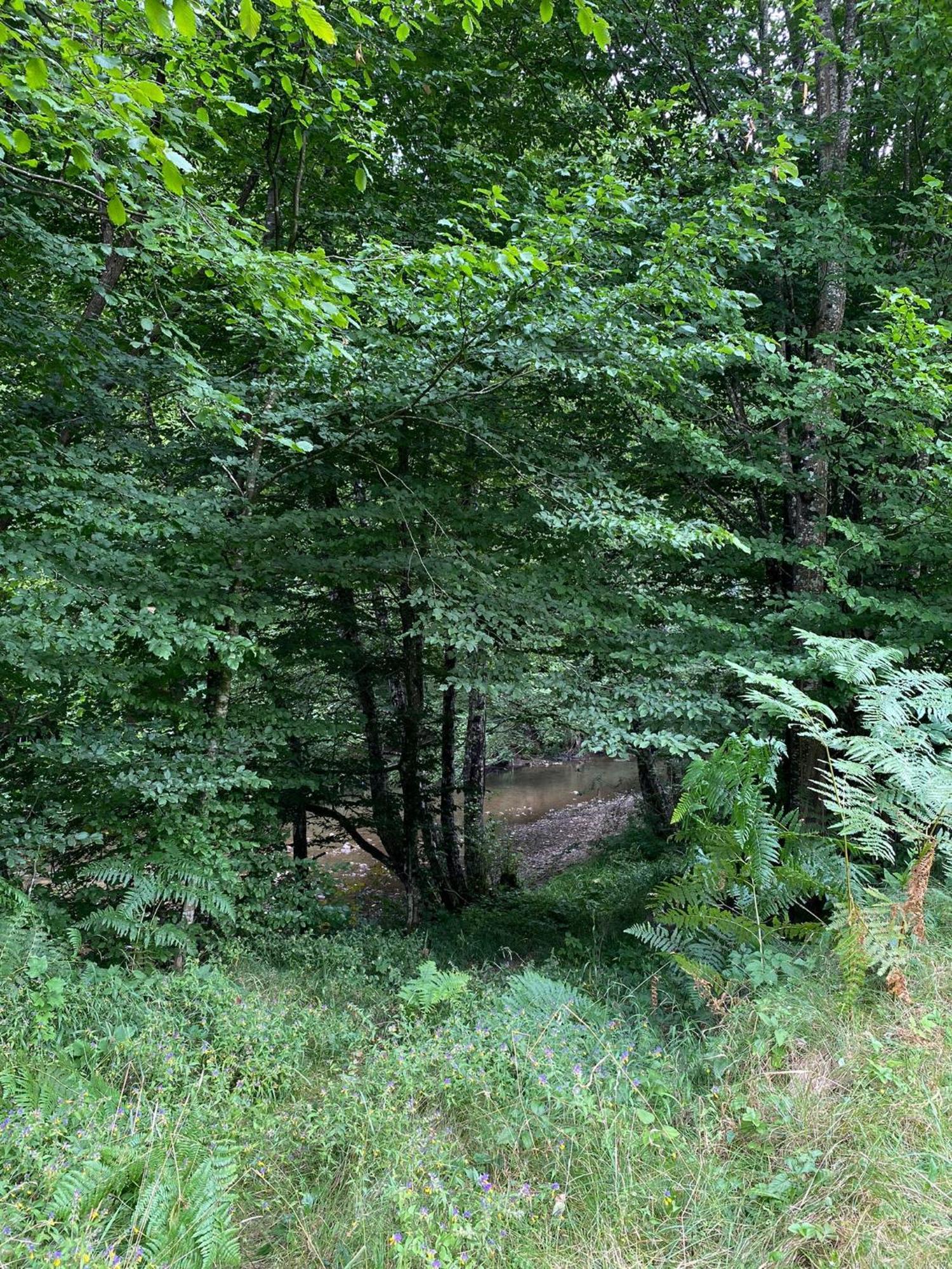 Apartmani Jana Bijelo Polje Exterior foto